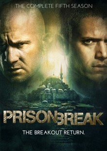 Torrent Prison Break Season 1 1080P